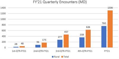 The VA National TeleNeurology Program implementation: a mixed-methods evaluation guided by RE-AIM framework